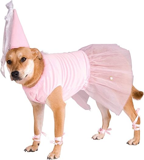 Amazon.com: Rubie's Big Dog Princess Dog Costume, XXXL : Pet Supplies Princess Pet, Princess Dog, Funny Costumes, Dog Halloween Costumes, Big Dog, Dog Costumes, Dog Costume, Dog Pin, Pet Costumes