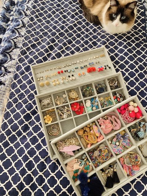 Organizing My Earring Collection My Favorite Places to Buy Earrings! How To Organize Earrings, How To Store Earrings, Earing Organizer, Organizing Earrings, Earring Organization, Organizer Amazon, Preppy Earrings, Stud Earring Organizer, Teen Earrings