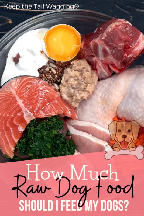 How-Much-Raw-Dog-Food-Should-I-Feed-to-My-Dogs-Pinterest | Keep the Tail Wagging Dog Raw Diet, Raw Feeding For Dogs, Home Cooked Dog Food, Raw Dog Food Diet, Raw Pet Food, Make Dog Food, Healthy Dog Treats Homemade, Tail Wagging, Most Nutritious Foods