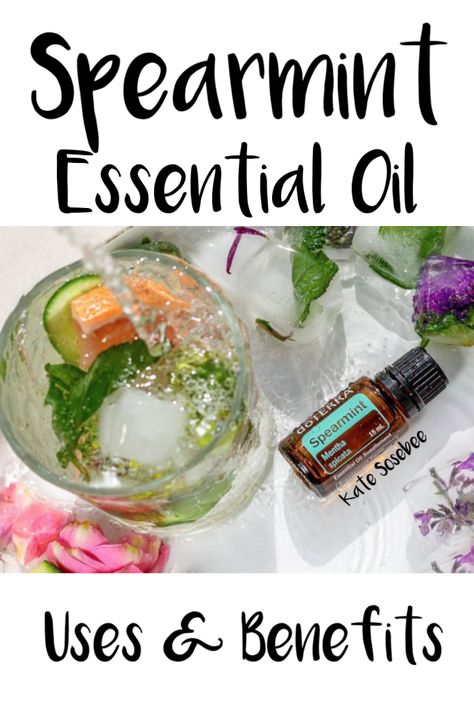 doTERRA Spearmint Essential Oil - The Prickly Pilot's Wife Doterra Spearmint, Doterra Oils Recipes, Marjoram Essential Oil, Doterra Oil, Diy Essential Oil Recipes, Crunchy Moms, Airline Ticket, Healthy Hormones, Spearmint Essential Oil