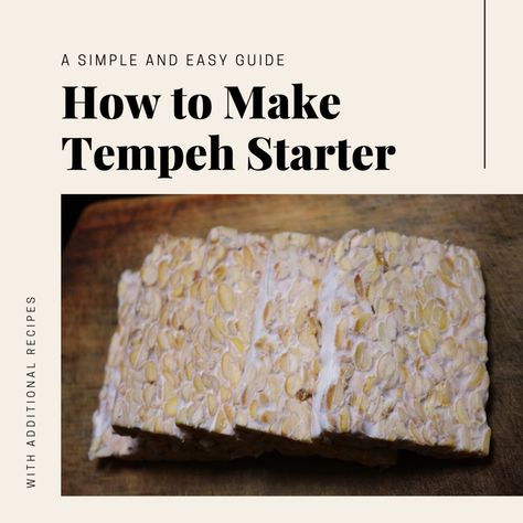 Tempeh starter can be hard to find in some countries. Here's how you can make your own starter for fermenting tempeh. This article also includes instructions for making homemade tempeh and other recipes and tips for incorporating this dynamic meat substitute into your cooking. Diy Tempeh, What Is Tempeh, Radish Cake Recipe, Recipes Pescatarian, How To Make Tempeh, Veggie Prep, Homemade Incubator, Radish Cake, Follicular Phase