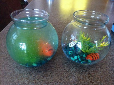 Used Fake Water to Make Fish Bowl, Turned Cloudy, What Went Wrong? Fish Bowl Decorations, Retractable Gate, Window Roller Shades, Fish Bowls, Bathroom Crafts, Painting Carpet, Fire Pit Furniture, How To Clean Silver, Doors And Floors