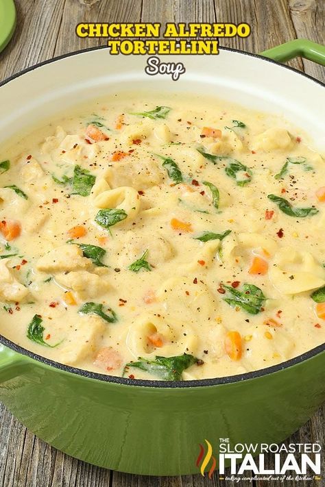 Best Alfredo Recipe, Chicken Alfredo Tortellini Soup, Alfredo Tortellini Soup, Chicken Alfredo Tortellini, Alfredo Tortellini, Recipe With Vegetables, Alfredo Recipes, Chicken Alfredo Recipe, Chicken Tortellini Soup