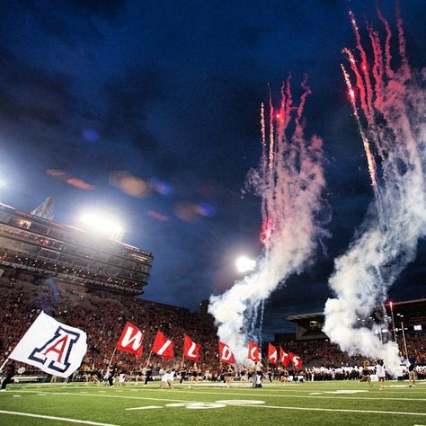 University of Arizona University Of Arizona Aesthetic, U Of Arizona, Future Collage, Arizona Aesthetic, Arizona University, Arizona Football, U Of A, The University Of Arizona, College Aesthetic