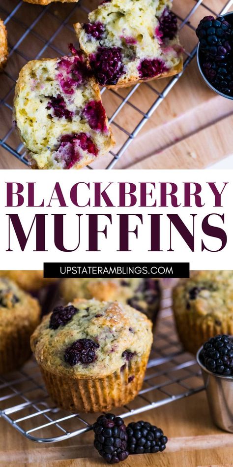 blackberry muffins Blackberry Lime Muffins, Easy Blackberry Muffins Recipes, Jumbo Blackberry Muffins, Blackberry Muffins Recipes, Black Raspberry Muffins, Blackberry Muffins Healthy, Blackberry Muffins Easy, Blackberry Recipes Easy, Blackberry Breakfast