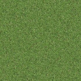 Textures Texture seamless | Green grass texture seamless 13055 | Textures - NATURE ELEMENTS - VEGETATION - Green grass | Sketchuptexture Grass Texture Seamless, City Parks Design, Growing Grass From Seed, Types Of Mulch, Organic Gardening Pest Control, Growing Grass, Vegetable Garden Planning, Grasses Garden, Soil Improvement