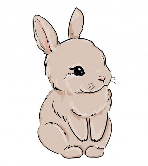 Cute Bunny Drawing Easy, Rabbit Illust, Rabbit Art Illustration, Rabbit Drawing Easy, Sketch Bunny, Cute Bunny Drawing, Drawing Bunny, Draw A Unicorn, Cats Pretty