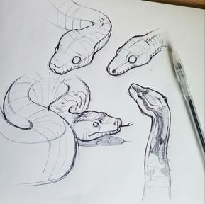 Devin Elle Kurtz, Snake Sketch, Plant Sketches, Snake Drawing, Snake Art, Desenho Tattoo, Animal Sketches, Arte Animal, A Drawing