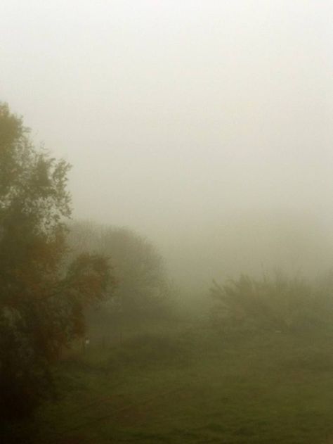 Original Art Color/Digital Photography, measuring: 30W x 40H x 0.1D cm, by: Alessandro Nesci (Italy). Styles: Impressionism, Illustration, Realism, Photorealism, Documentary. Subject: Tree. Keywords: Foggy Landscape, Landscape, Photography, Tree Landscape, Tree Fog, Field, Nature, Landscape Nature, Fog, Tree, Tree Nature, Tree Field. This Color/Digital Photography is one of a kind and once sold will no longer be available to purchase. Buy art at Saatchi Art. Roman Landscape, Foggy Field, Rome Italy Photography, Fog Landscape, Realism Illustration, Foggy Landscape, Landscape Field, Fog Photography, Nature Field