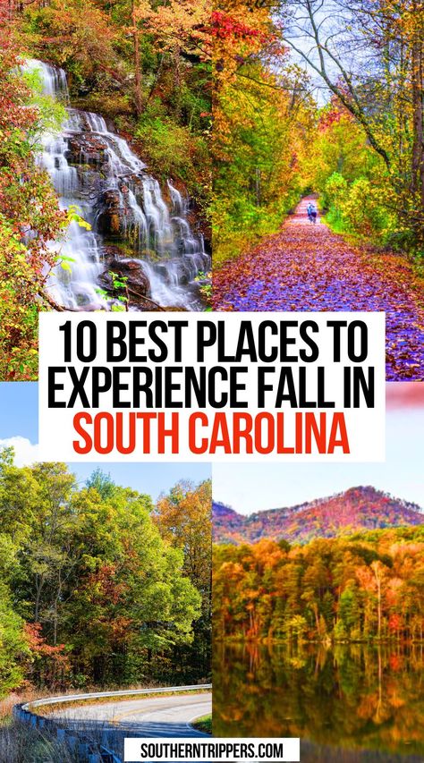 10 Best Places to Experience Fall in South Carolina Yemassee South Carolina, Fall In South Carolina, Greer South Carolina, South Carolina Things To Do, Charleston South Carolina Fall, Travelers Rest South Carolina, Best October Vacations, South Carolina Road Trip, South Carolina Fall