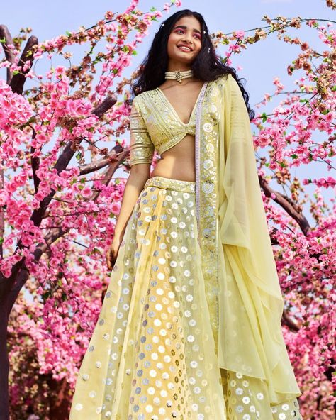 Asal By Abu Sandeep on Instagram: “Channel the colours of spring with a splash of lemon yellow pastels bursting with flowers and a panelled blouse that is both flirty and…” Yellow Outfit Indian, Pale Yellow Outfit, Outfit Indian, Yellow Outfit, Indian Couture, Lemon Yellow, Pale Yellow, Lemon, Saree