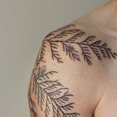 Cedar Leaf Tattoo, Cedar Branch Tattoo, Plant Half Sleeve Tattoo, Cedar Tattoo, Botanical Wrap Tattoo, Customizing Clothes, Botanical Sleeve, Plus Size Tattoos, Cedar Branch