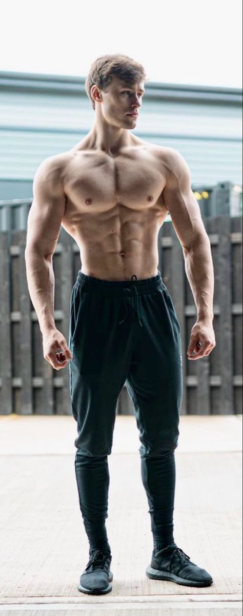 David Laid Lean Muscle Men, Lean Body Men, Lean Men, David Laid, Gym Guys, Lean Body, Aesthetic Guys, Anatomy Reference, Male Physique