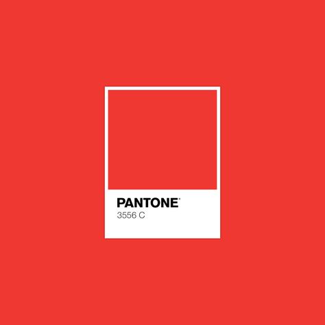 Vermillion Color, Pantone Red, Color Library, Vermillion Red, Pantone Colour Palettes, Pink Peacock, Hot Pink Color, Idea Design, Hex Colors