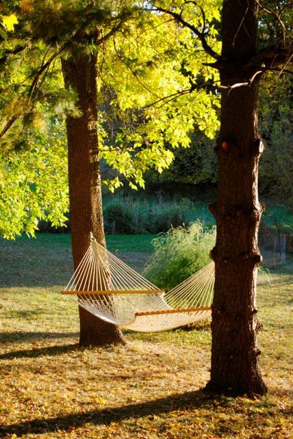 Hammock In Forest, Hammock Under Tree, Hammock In Trees, Hammock Aesthetic, Hammock Photography, South Of France House, Hammock Tree, Tree Hammock, Net Hammock