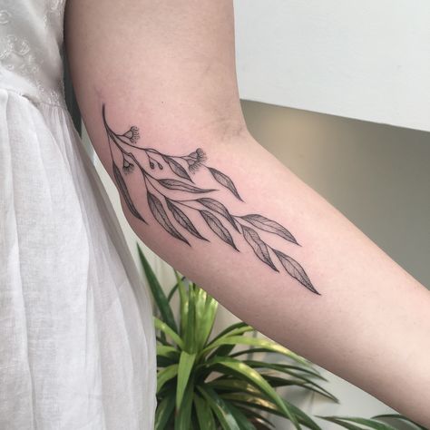 1,043 Likes, 10 Comments - Peta (@peta.heffernan) on Instagram: “Eucalyptus and ❤️ for Brodie 🌿 #eucalyptus #eucalyptustattoo #australianflora #tattooing…” Australia Tattoo, Small Star Tattoos, Willow Tree Tattoos, Leaf Tattoo, Native Tattoos, Vine Tattoos, Forearm Tattoo Women, Botanical Tattoo, Floral Tattoo Design