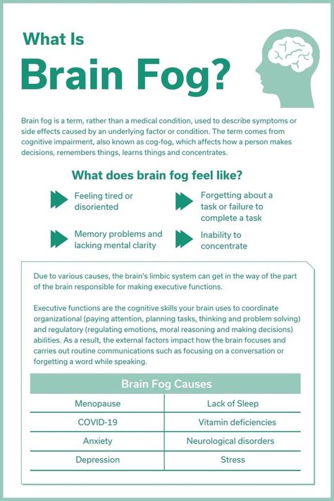 Brain Fog Remedies, Limbic System, Memory Problems, Migraine Headaches, Brain Fog, Mental Clarity, Brain Health, Health Advice, Emotional Intelligence