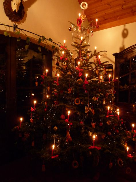 Austrian Christmas Tree Austrian Christmas, Secular Christmas, Real Candles, Alpine Chalet, European Christmas, Under The Christmas Tree, Primitive Colonial, Christmas Feeling, Christmas Markets