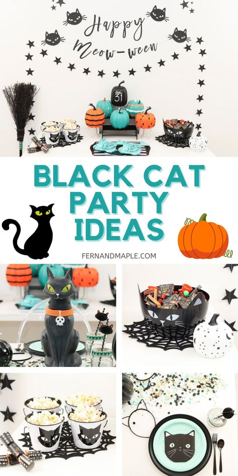 Throw the purr-fect Black Cat Halloween themed party for all of the cat-loving kids in your life with these decorating ideas from www.fernandmaple.com! Cat Theme Halloween Decor, Cat Themed Halloween Party, Halloween Cat Birthday, Black Cat Halloween Party Ideas, Black Cat Party Decorations, Black Cat Halloween Party, Black Cat Trunk Or Treat Ideas, Black Cat Themed Birthday Party, Black Cat Birthday Party Ideas