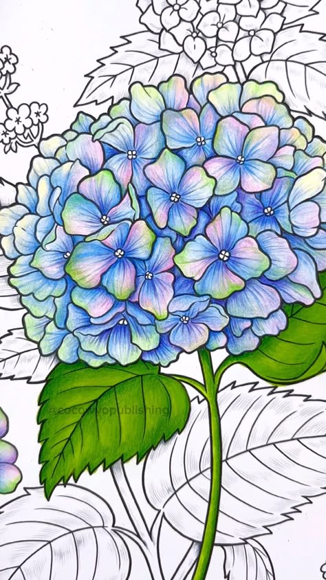 Coco Wyo Coloring, Colored Pencil Lessons, Coco Wyo, Colored Pencil Drawing Techniques, Colored Pencil Art Projects, Blending Colored Pencils, Secret Garden Coloring Book, Color Pencil Illustration, The Language Of Flowers