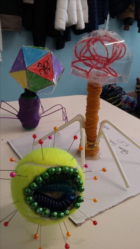 Microbiology Model Ideas, Microbiology Project Ideas, Bacteriophage Model, Biology Decorations, Biology Corner, Science Project Models, Human Body Projects, Projects Science, Medical Projects