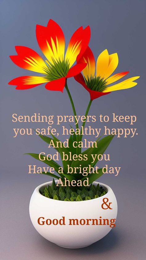 Happy Sunday Wallpaper, Happy Sunday Wishes, Sunday Good Morning Wishes, Sunday Morning Wishes, Christian Good Morning Quotes, Nice Good Morning Images, Heaven Pictures, Good Morning Clips, Morning Wednesday