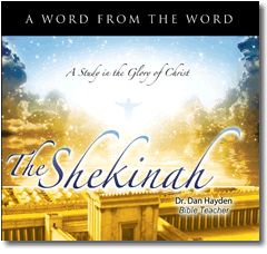 The Shekinah – A Study in the Glory of Christ | A Word from the Word - Dan Hayden Shekinah Glory, Who Is Jesus, Glory Of God, Gods Glory, Lord And Savior, God Almighty, The Glory, The Temple, A Word