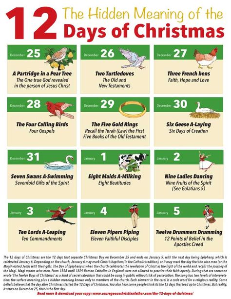 Ever wonder what the hidden mean of the 12 days of Christmas mean? Then check out this blog post as I share what each day of the 12 days hidden meaning. I also share when the 12 Days of Christmas actually starts too. Plus a free printable version! #12DaysChristmas #Christmas 12 Days Of Xmas, Christmas Lyrics, The 12 Days Of Christmas, Christmas Bible, Christmas Poems, Meaning Of Christmas, Twelve Days Of Christmas, Christian Christmas, Christmas Advent