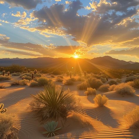 Desert Sunset Rays: A breathtaking desert sunset with radiant sunbeams piercing through the clouds above sandy dunes. #sunset #desert #sunbeams #clouds #sand #dunes #tranquility #golden #aiart #aiphoto #stockcake https://ayr.app/l/963R Desert Landscape Photography, Sunset Desert, Desert Beauty, Desert Aesthetic, Sunrise Mountain, Fantasy World Map, Desert Environment, Beautiful Landscape Photography, Desert Sun