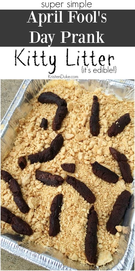 This Simple April Fools Day Prank will surely make your kids squirm then laugh! It’s so so easy, it can be just ONE ingredient, or go the extra mile with 3 ingredients. It’s edible kitty litter. Xmas Food Gifts, April Fools Food, Fool Recipe, Kitty Litter Cake, Food Pranks, Prank Ideas, Pranks For Kids, April Fools Pranks, Kitty Litter