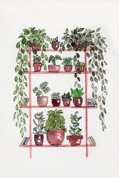 Shelf Plants, Plant Art Print, Garden Watercolor, Plant Shelf, Watercolor Plants, Pen And Watercolor, Plant Shelves, Plant Mom, Plant Art