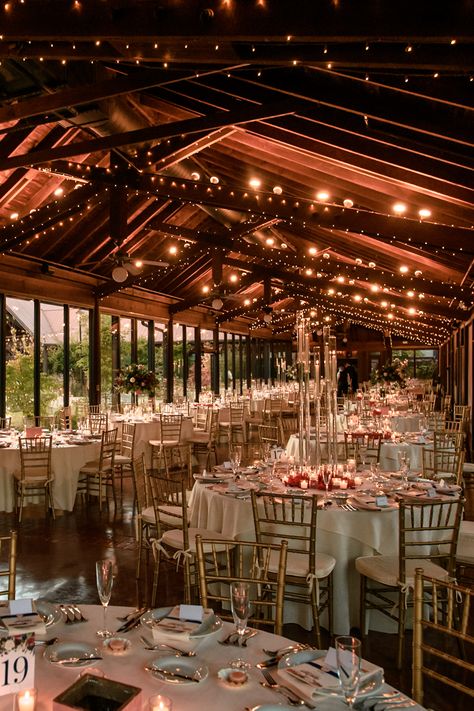 Planning a breathtaking wedding in Asheville, NC? Our Ultimate Venue Guide for Biltmore Estate Weddings has everything you need to know. From stunning ceremony locations to reception hall recommendations, we've got you covered. Say 'I do' amidst the beauty of Biltmore Estate, where your fairytale wedding becomes a reality. Start planning today and make your dream day unforgettable! 🌸🥂💐 #AshevilleWeddingPhotographer #AshevilleWeddings #BiltmoreEstateWeddings Biltmore Estate Wedding Fall, Wedding At Biltmore Estate, Deerpark Biltmore Wedding, The Biltmore Estate Wedding, Biltmore Wedding Asheville, Wedding Reception Setup, Biltmore Estate Wedding, Gold Chivari Chairs, Sparkle Lights