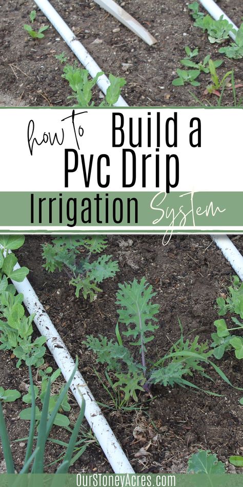 Water System For Garden Drip Irrigation, Backyard Irrigation Ideas, Garden Self Watering System, Upcycled Vegetable Garden, Simple Vegetable Garden Ideas, Diy Water Irrigation System, Simple Irrigation Ideas, Vegetable Garden Watering System Diy, Self Watering System For Plants