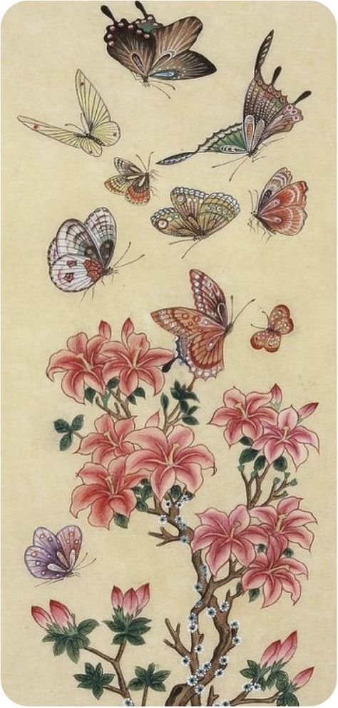 Chinese Flowers, Korean Painting, Butterfly Illustration, Butterflies And Flowers, Butterfly Drawing, Butterfly Painting, Korean Art, China Art, Sumi E