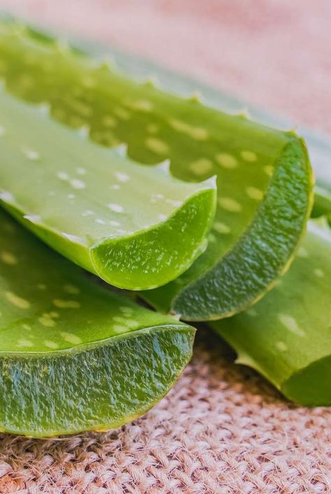 We asked experts everything you need to know about aloe vera for face, including aloe vera benefits for skin and how to use aloe vera on face. #skincare #face #gel #aloevera Aloe Vera On Face, Aloe Vera Gel For Face, Aloe Vera For Face, Aloe Vera Benefits, Face Skincare, Entertaining Gifts, Aloe Plant, Simple Makeup Looks, Beauty Clothes