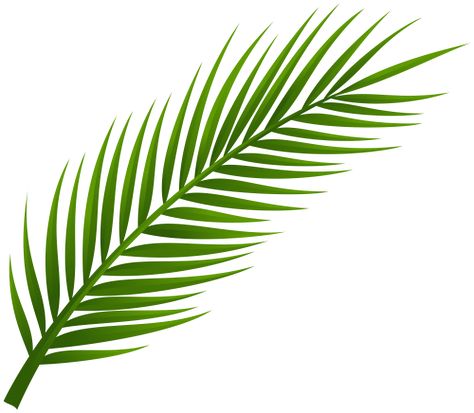 Palm Tree Clip Art, Palm Tree Leaf, Palm Frond Art, Coconut Leaves, Palm Branch, Palm Tree Tattoo, Palm Tree Leaves, Leaf Clipart, Paper Plants