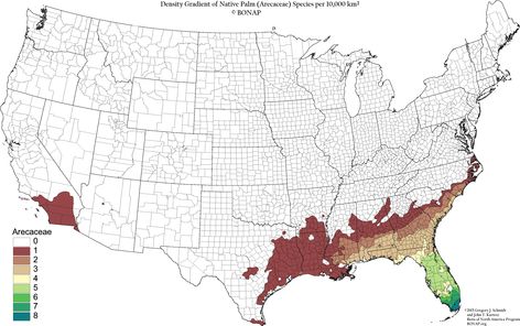 Palms in the United States Weird Maps, Types Of Palm Trees, American History Timeline, Cartography Map, Tree Map, Data Map, Geography Map, Social Studies Worksheets, Natural Ecosystem