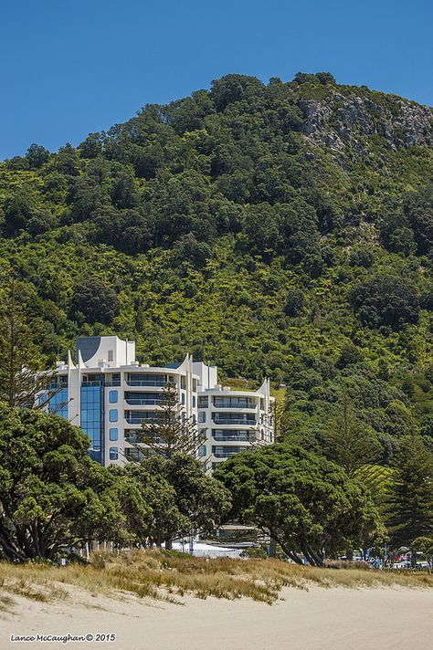 Apartment On The Beach Mount Maunganui Mt Maunganui, Mount Maunganui, Beach Life, New Zealand, The Beach, Apartment, Collage, Animals, Pins