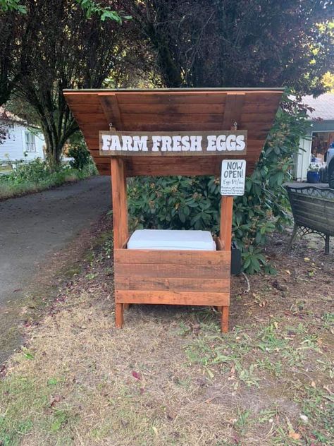 Egg stand Egg Cooler Stand, Simple Roadside Egg Stand, Small Roadside Egg Stand, Diy Roadside Egg Stand, Cooler Egg Stand, Diy Chicken Egg Stand, Easy Roadside Egg Stand, Roadside Egg Stand Cooler, Egg Selling Stand With Cooler