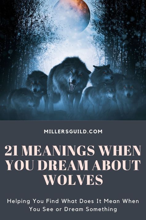 21 Meanings When You Dream About Wolves 2 Wolf Meaning, Wild Wolves, Big Wolf, Eye Meaning, Wolf Eyes, Are You Scared, Howl At The Moon, Dream Meanings, Your Spirit Animal