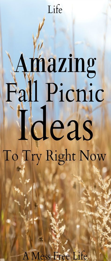 Fall Family Event Ideas, Fall Picnic Decorating Ideas, Harvest Picnic Ideas, Romantic Fall Picnic, Fall Picnic Table Decor, Fall Picnic Food Ideas For Two, Thanksgiving Picnic Ideas, Outdoor Fall Picnic, Winter Picnic Food Ideas