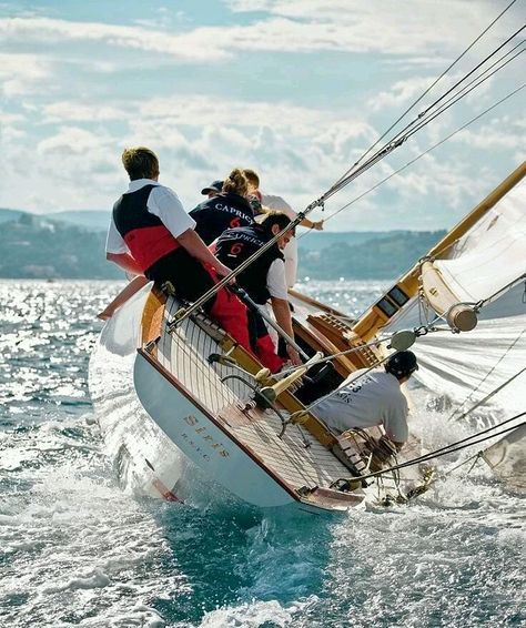 Navi A Vela, Classic Sailing, Classic Yachts, Sailing Vessel, Classic Boats, Yacht Boat, Yacht Charter, Sailing Yacht, Tall Ships