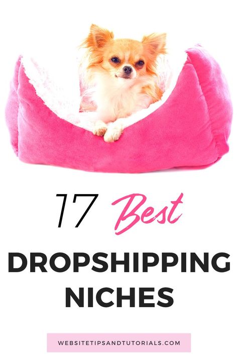 Best dropshipping niche ideas for 2020. Advice for dropshipping for beginners. Not sure what products your new dropshipping store should sell? Check out these list of great business ideas if you want to start a new dropshipping shop. These are growing industries with lots of success stories. If you're writing a dropshipping business plan, you need to read this first. Includes types of clothing, furniture, beauty ideas & more #dropshipping #debutify  | Dropshipping Tips for Beginners Drop Shipping Niche Ideas, Dropshipping For Beginners Amazon, Successful Dropshipping Business, Drop Shipping Business For Beginners, Dropshipping For Beginners, Ecommerce Startup, Digital Retail, Great Business Ideas, Niche Ideas