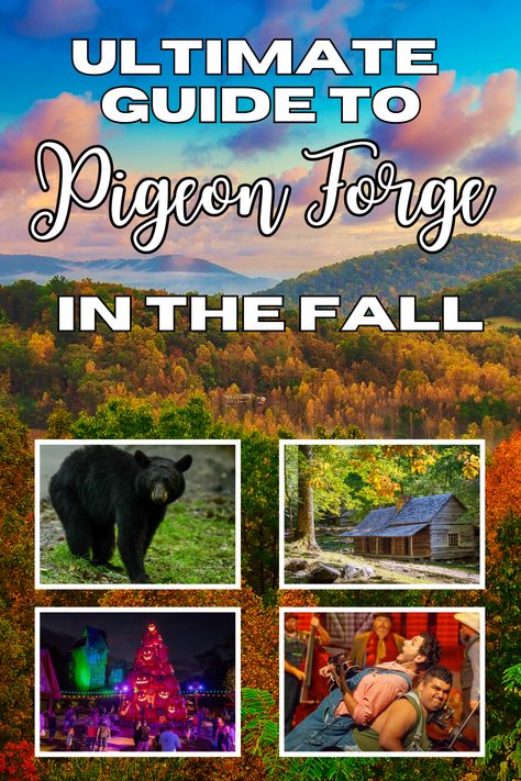 The main image displays a stunning autumn landscape of the Smoky Mountains, with colorful foliage under a dramatic sky. Smaller images within the collage highlight a black bear in the wilderness, a rustic cabin surrounded by fall colors, a lively nighttime pumpkin festival, and a cheerful group of people enjoying a musical performance. The title, "Ultimate Guide to Pigeon Forge in the Fall," is prominently displayed at the top. Cozy Activities, Pigeon Forge Vacation, Mountains Vacation, Clingmans Dome, Smoky Mountains Vacation, Pigeon Forge Tennessee, Fall Festivals, Rainbow Falls, Escape The Ordinary