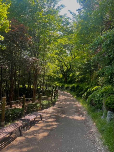 #seoul #korea #nature #forest #park Seoul Forest Park, Korea Forest, Korean Forest, Seoul Landscape, Seoul Park, Korean Nature, South Korea Nature, Seoul Forest, Japanese Park