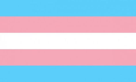 Transgender Flag, Trans Pride Flag, Trans Flag, Gender Flags, Lgbt Flag, Lgbtq Flags, Pride Stickers, Trans Pride, Judy Garland