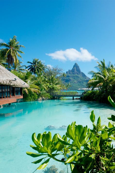 Turquoise waters and vibrant blue skies, a honeymooners paradise... Tahiti Resorts, Bora Bora Island, Luxury Island, Bora Bora Resorts, Visit Maldives, Sea Resort, Exotic Places, Tropical Climate, Travel Locations