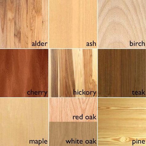 Different Types Of Wood Grain, Birch Cabinets, Cherry Stain, Hickory Wood, Material Board, 3d Cnc, Got Wood, Wood Grain Texture, Different Types Of Wood