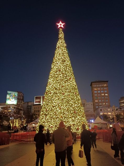 San Francisco Winter, Macys Christmas, Aesthetic San Francisco, San Francisco Christmas, Christmas In San Francisco, San Francisco Aesthetic, Union Square San Francisco, California Christmas, Winter Magic