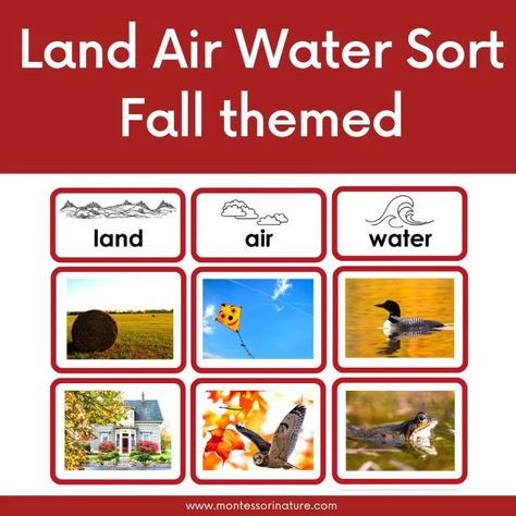 Land Air Water Free Printables, Free Educational Printables, Outdoor Learning Activities, Preschool Garden, Sequencing Cards, Math Activities For Kids, Montessori School, Easy Science Experiments, Fostering Children